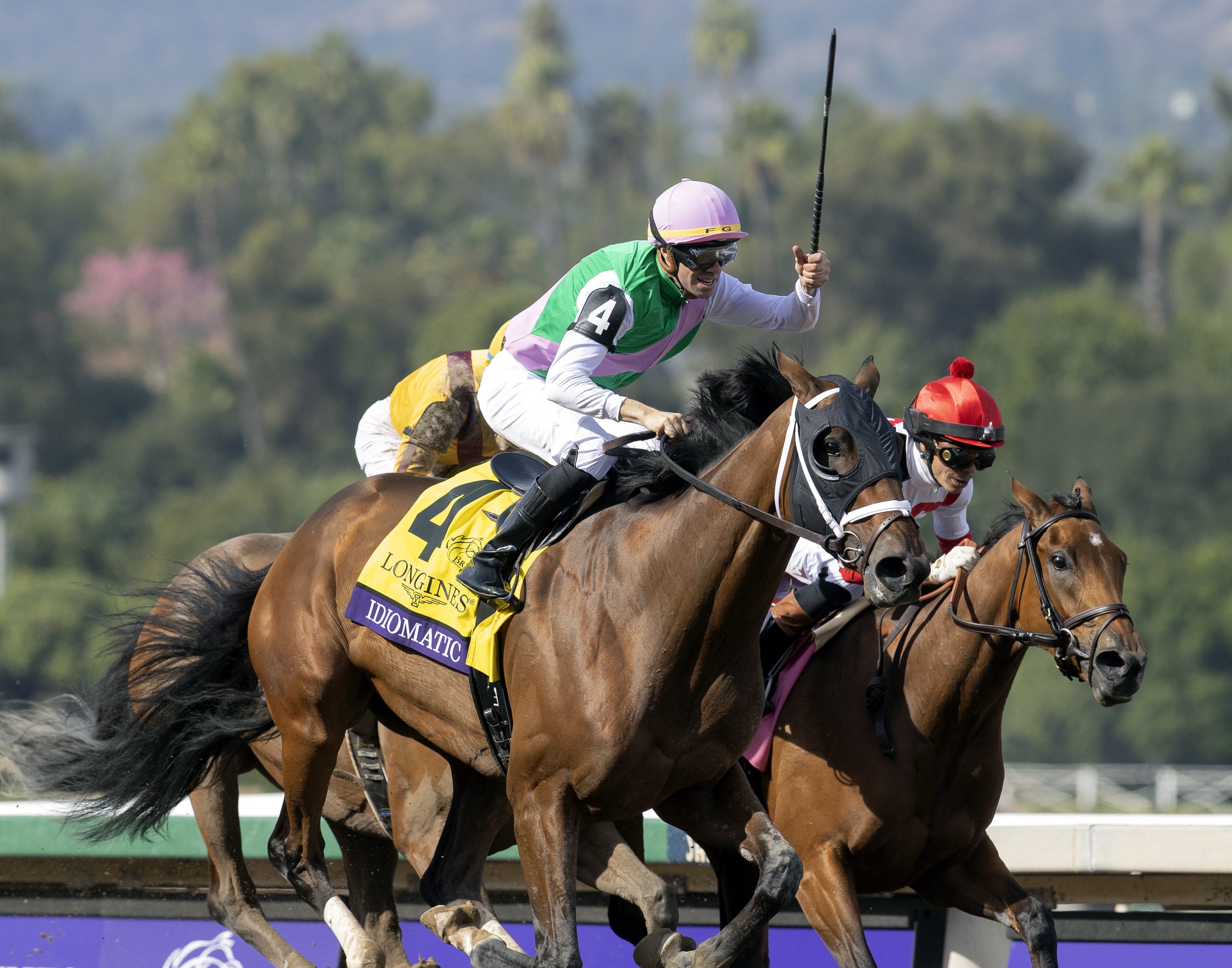 Breeders Cup pinpoints probables for Horse of the Year Eclipse